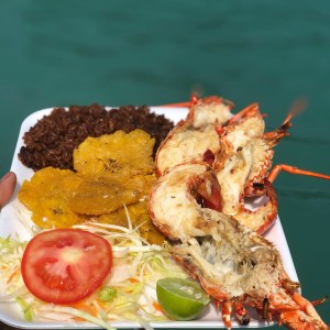 70438FD0-1BD8-4812-8783-4369C20D19E5