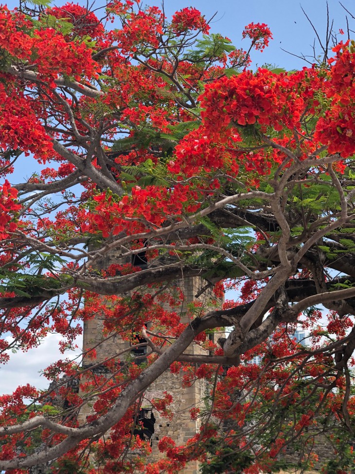 7DDCB460-837C-4839-A6F8-F5F761AE16C2