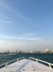 9F97935B-4FBA-4B39-8A4F-C428AE9C3EE9