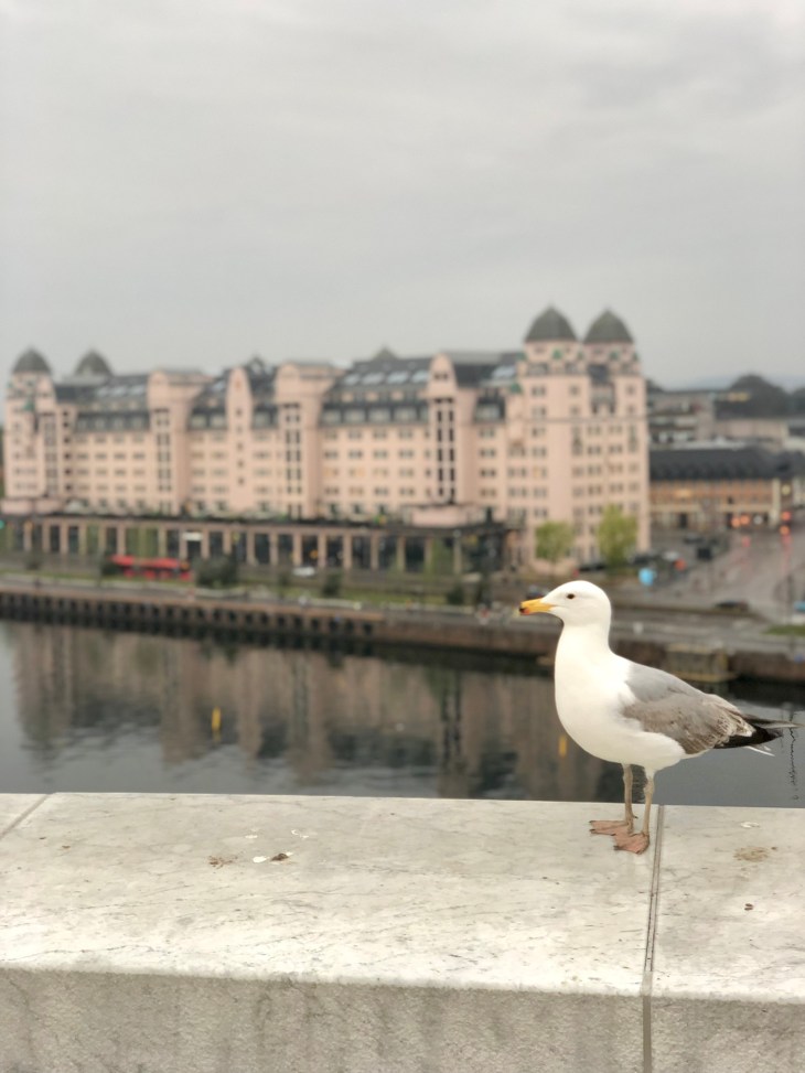 225F7490-5A01-490D-8EFF-7BF163A97136