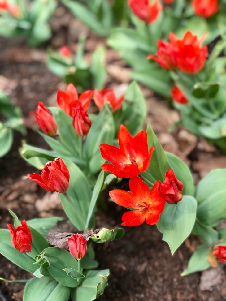 B86D9C9B-BDEA-40BA-82CD-430EF90C4995