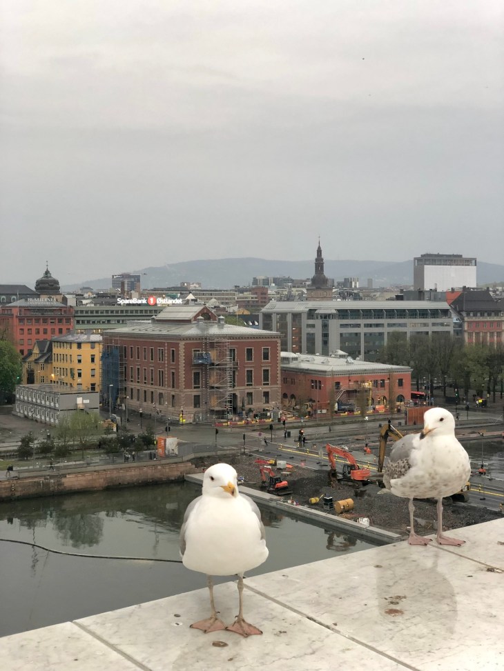 ED2C606E-C596-4B0C-9833-6D102EB63C00