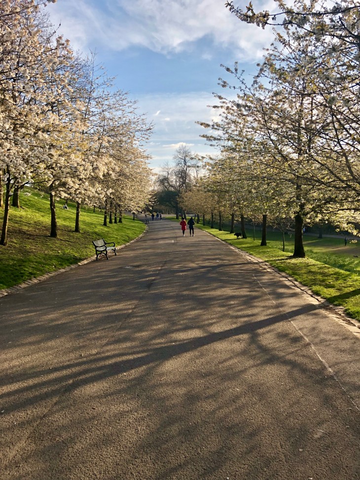 26DE0240-82AD-4FC7-AFEE-F13E0407A651