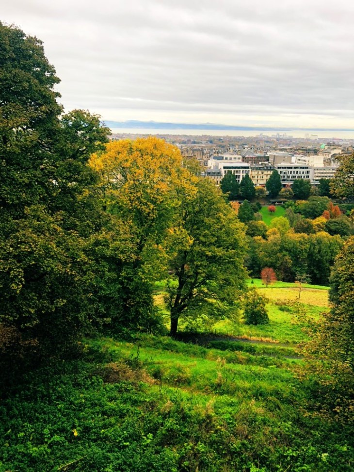 156E5202-7121-4189-A412-E05C0194F982