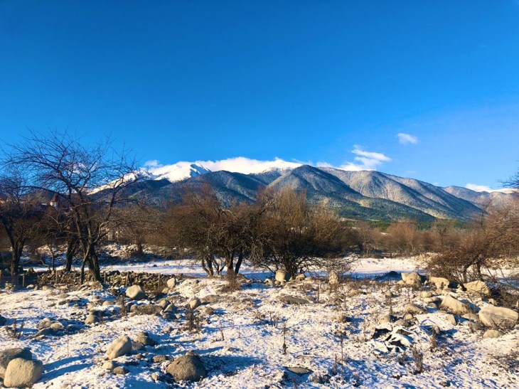 DD07FCB3-CFE5-4EA9-B195-D9422FEE7D69