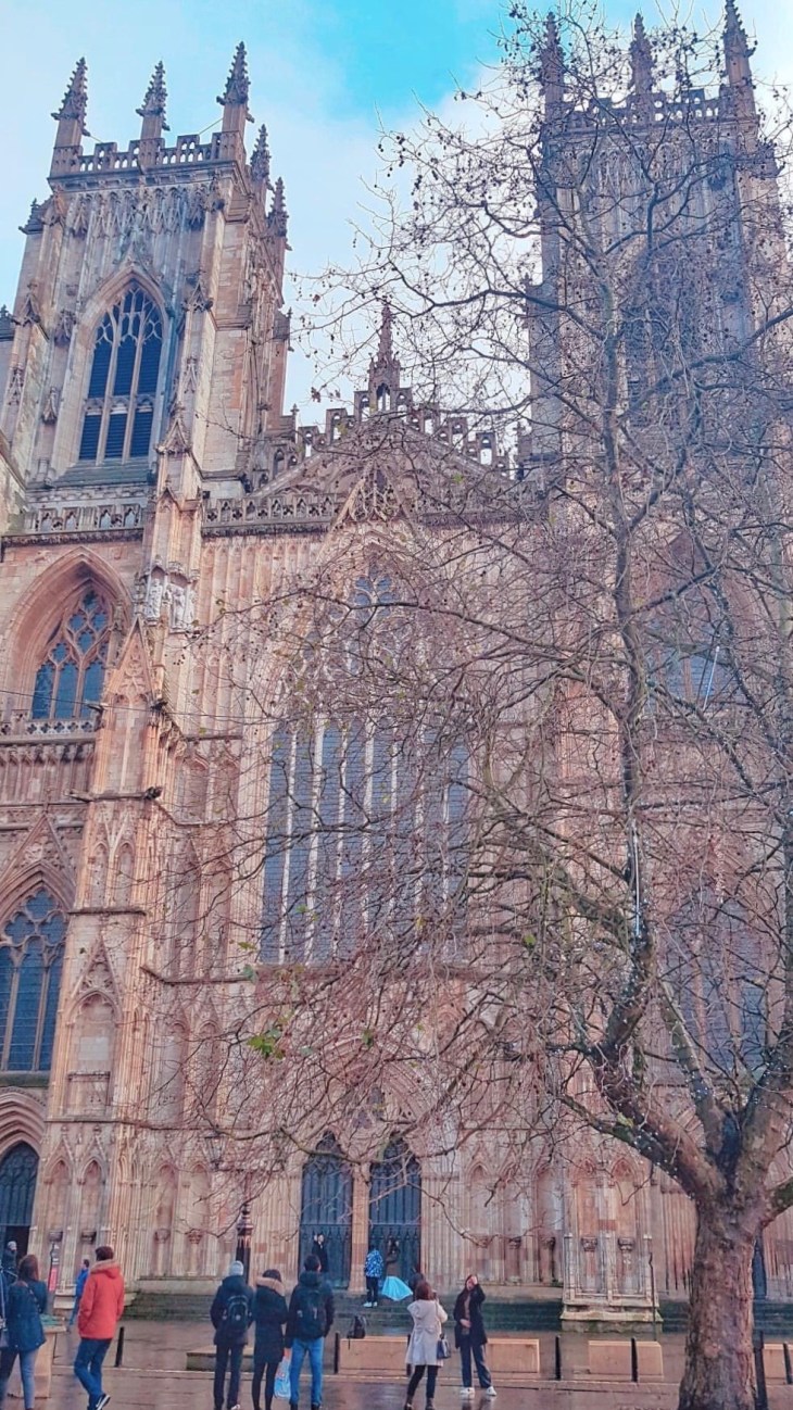 3ED32C3C-27CB-44C0-8E53-D3BD288E7DD2